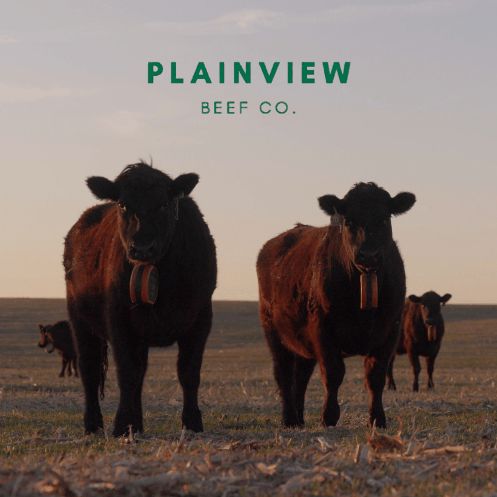 Grass Fed Beef from Plainview Beef Co