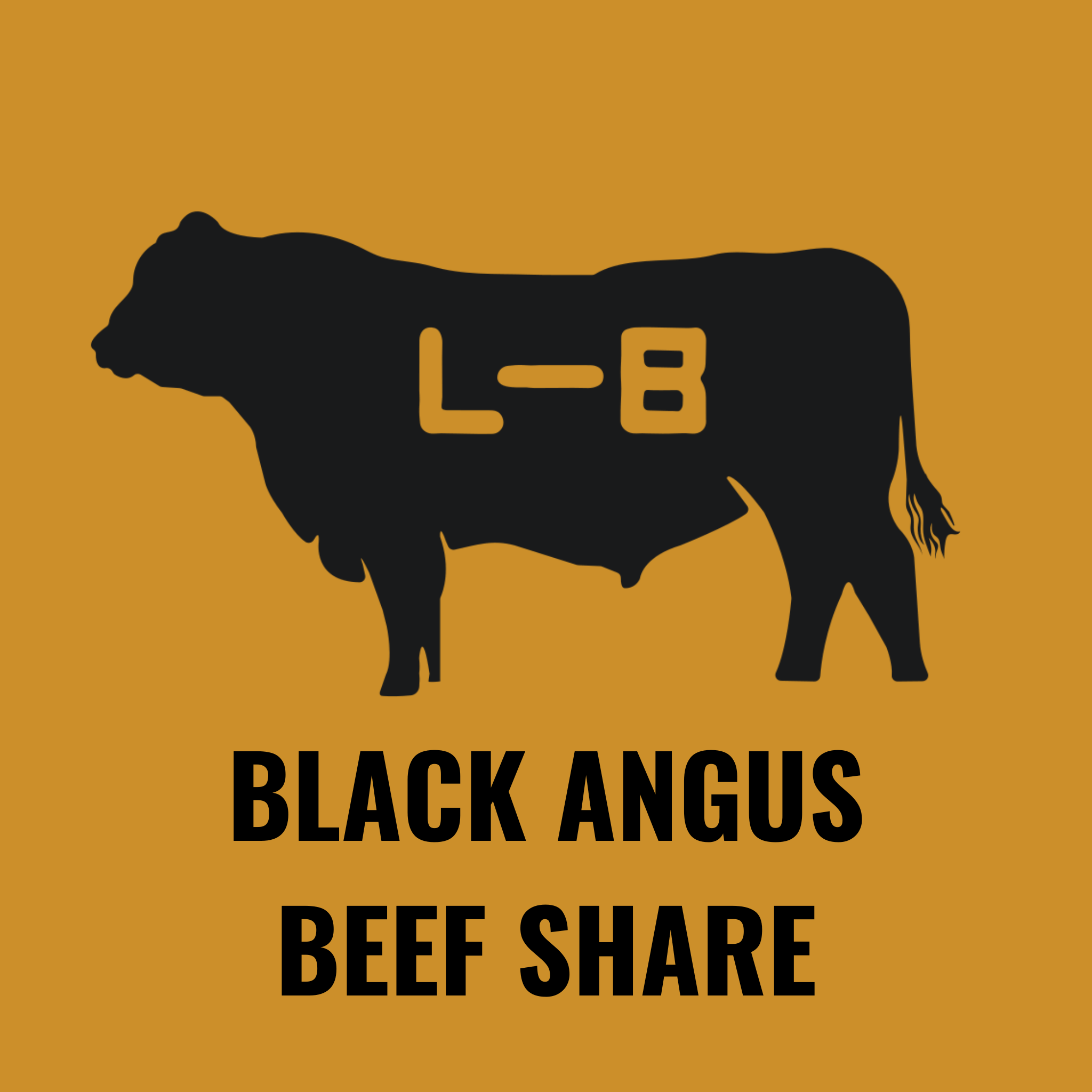 Black Angus Beef Share