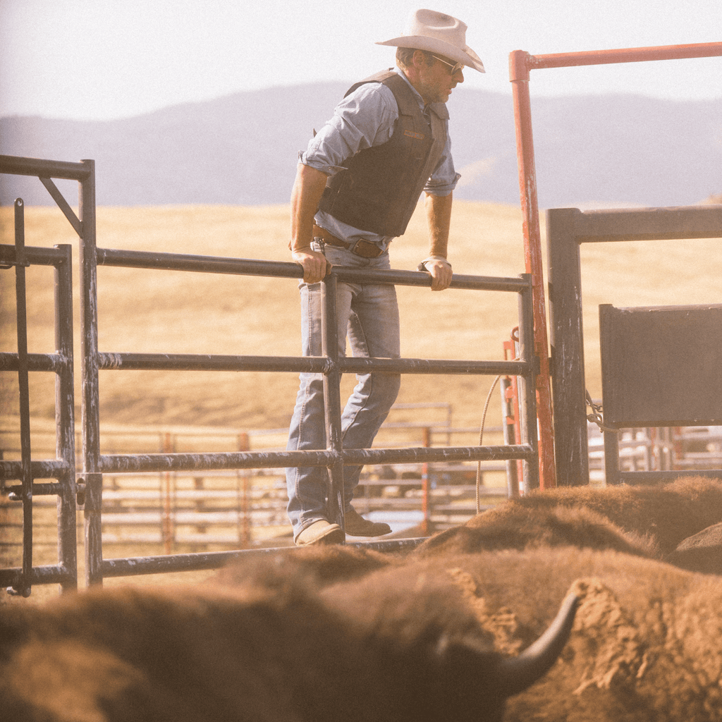 Man in a cowboy hat standing behind a gate with Hightail bison on a ranch