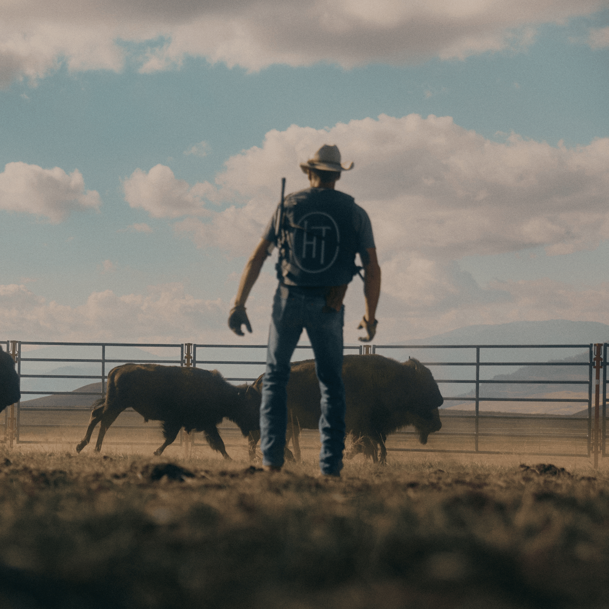 Man in a cowboy hat and jeans walking with two bison in a field under a cloudy sky.