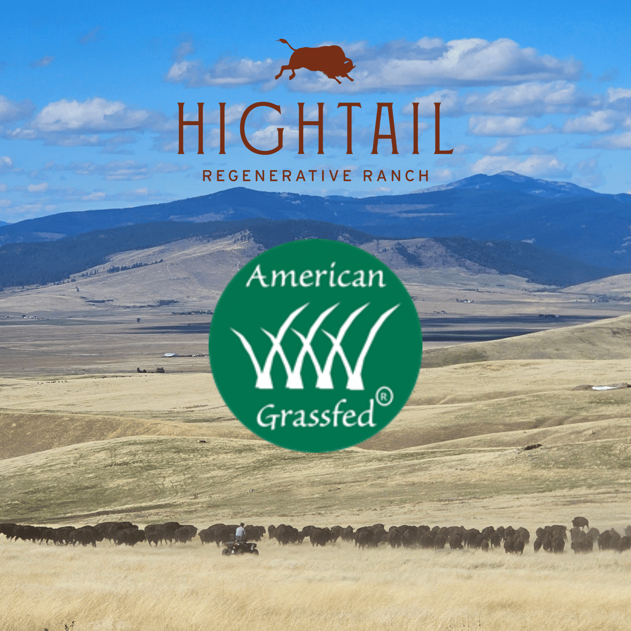 Hightail Regenerative Ranch with American Grassfed logo over a scenic landscape.
