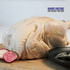 Pasture-raised whole chicken
